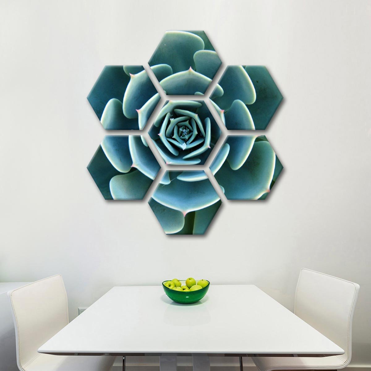 Aloe Succulent Multi Panel Canvas Wall Art