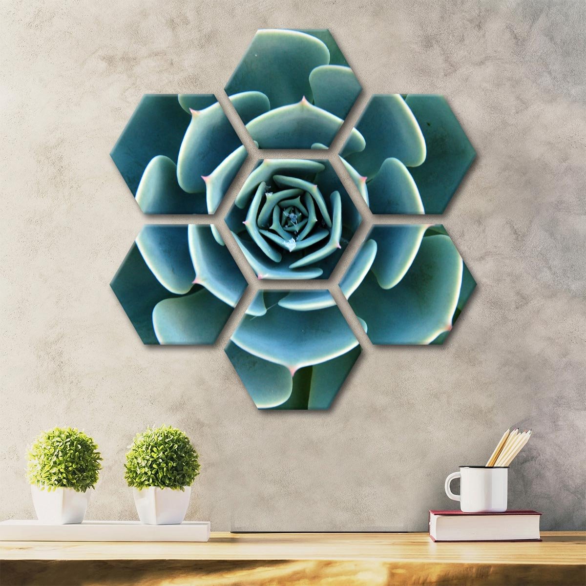Aloe Succulent Multi Panel Canvas Wall Art