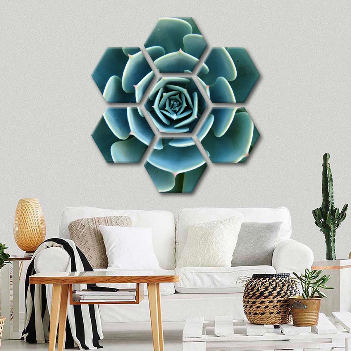Aloe Succulent Multi Panel Canvas Wall Art
