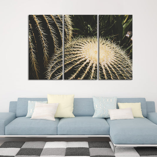 Cactus Close Up Multi Panel Canvas Wall Art