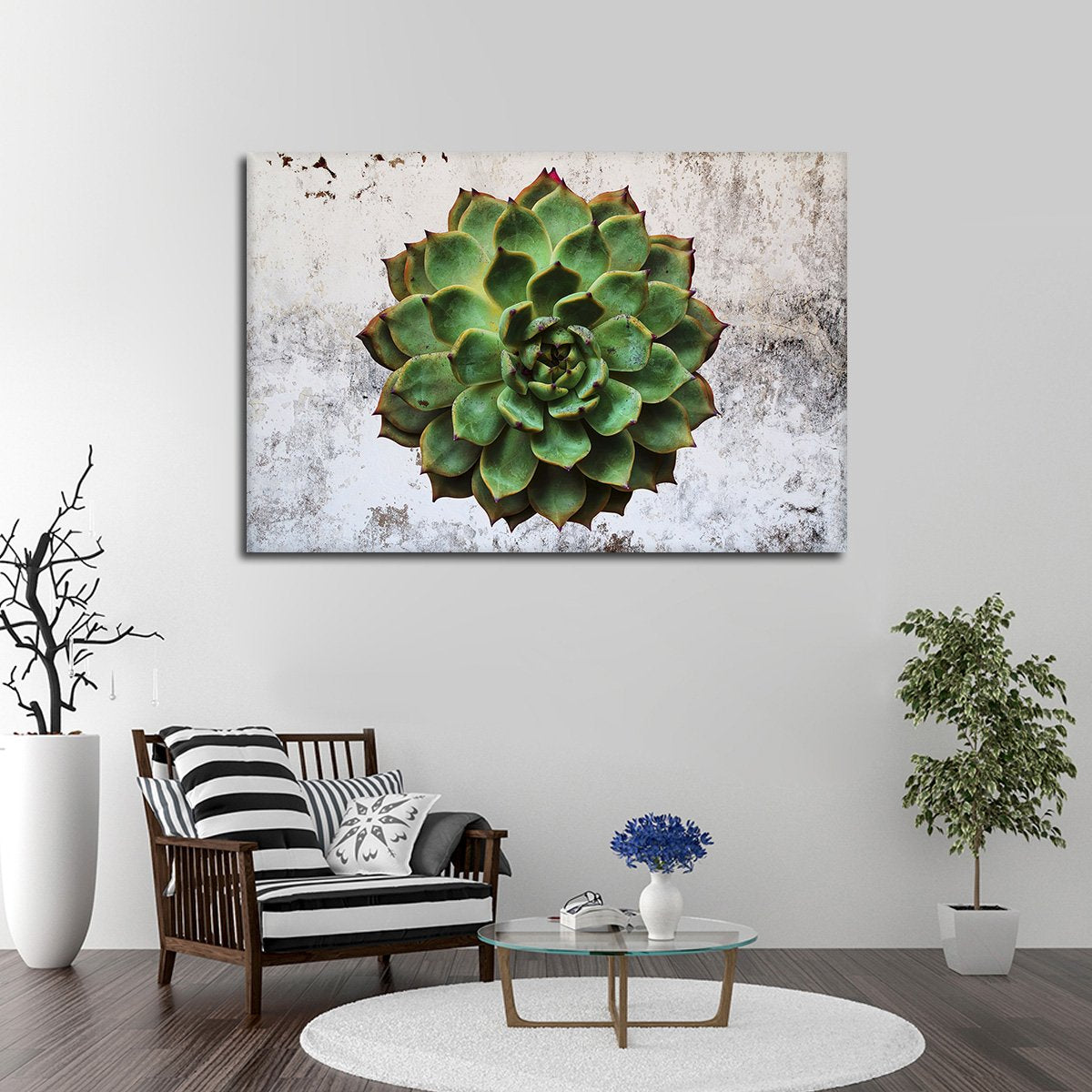 Urban Succulent Multi Panel Canvas Wall Art