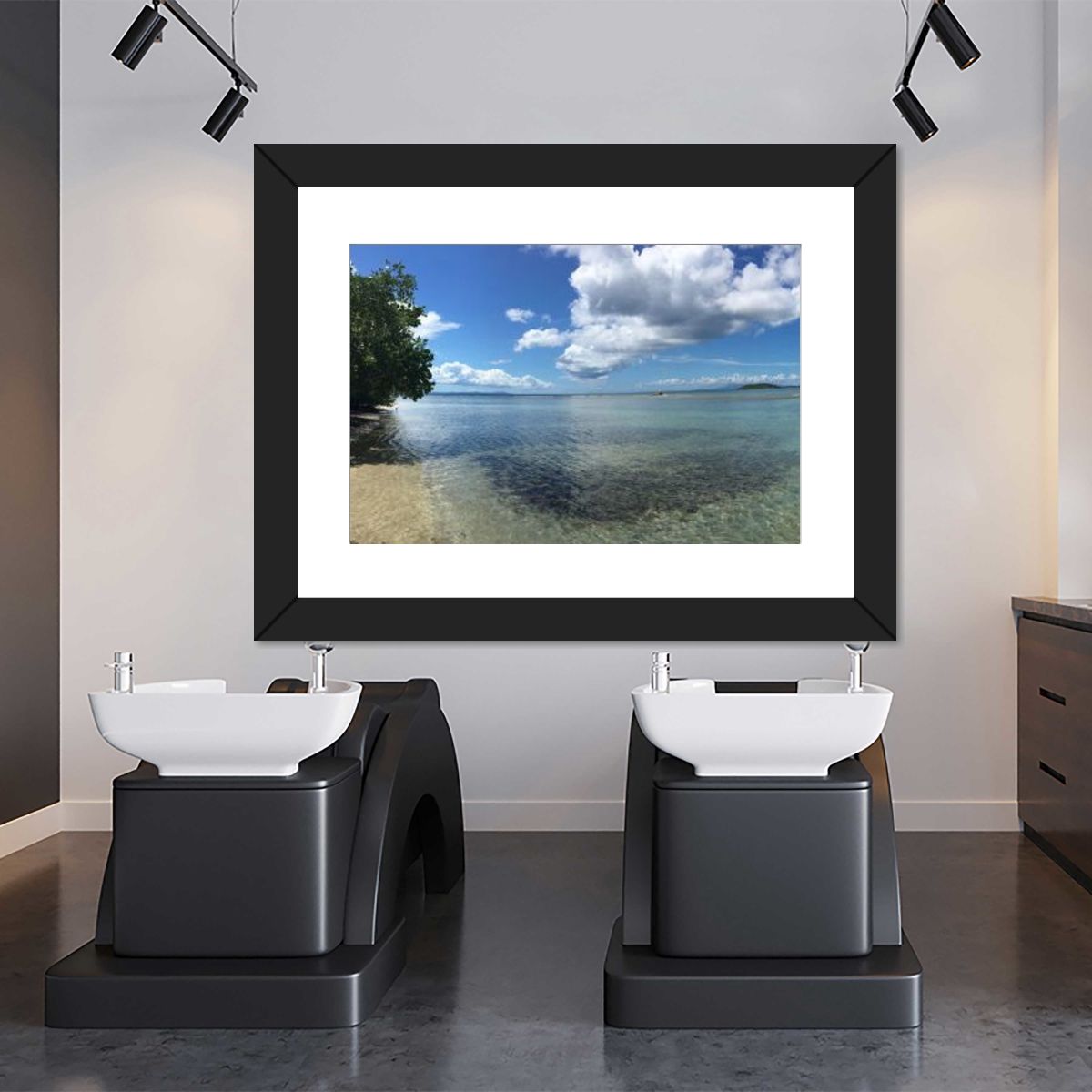 Framed Print