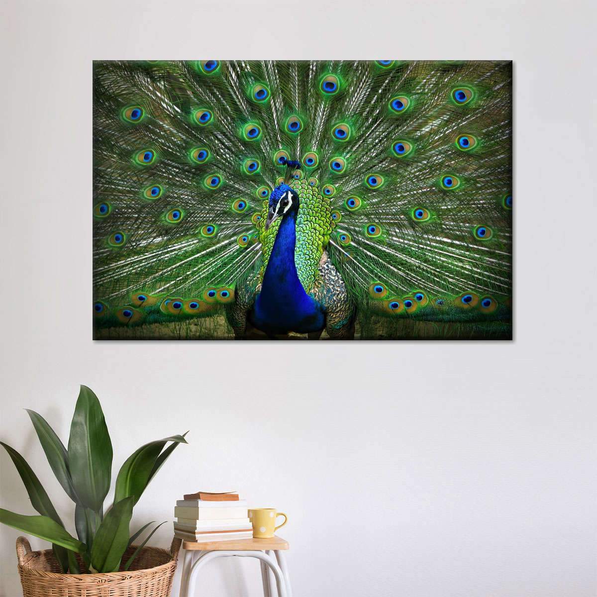 Peacock Feathers Multi Panel Canvas Wall Art