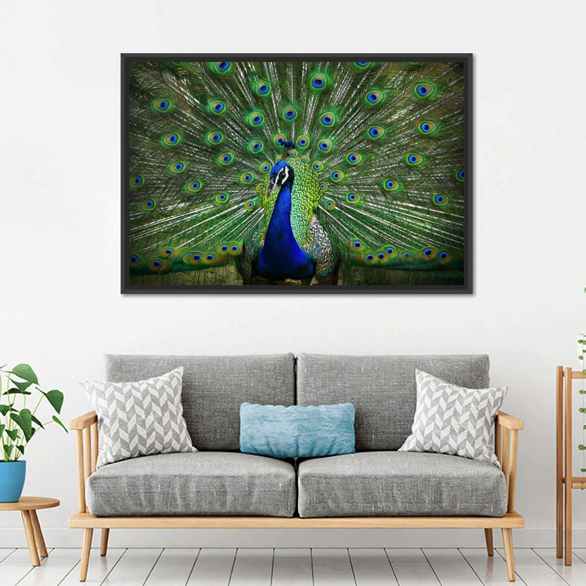 Peacock Feathers Multi Panel Canvas Wall Art