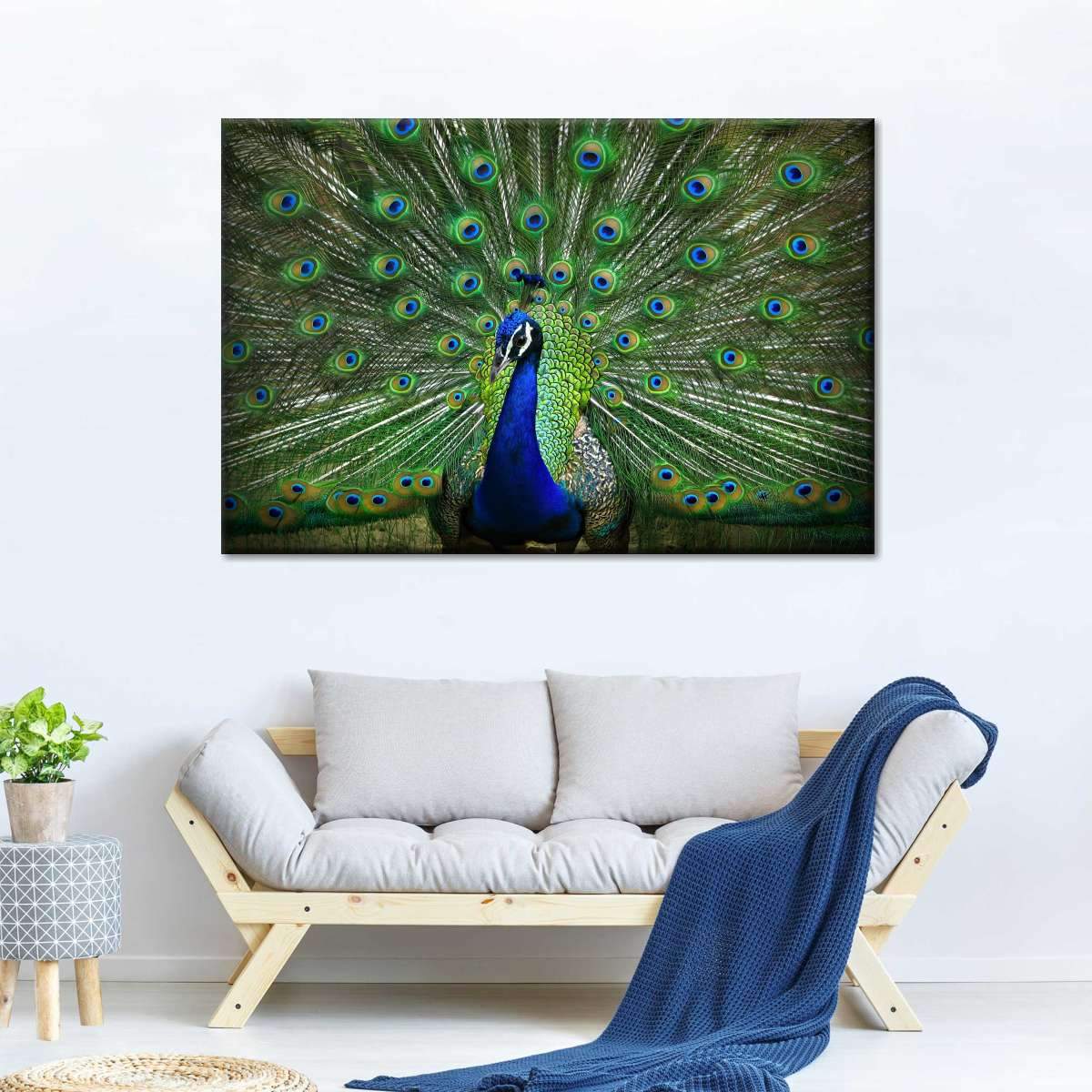 Peacock Feathers Multi Panel Canvas Wall Art