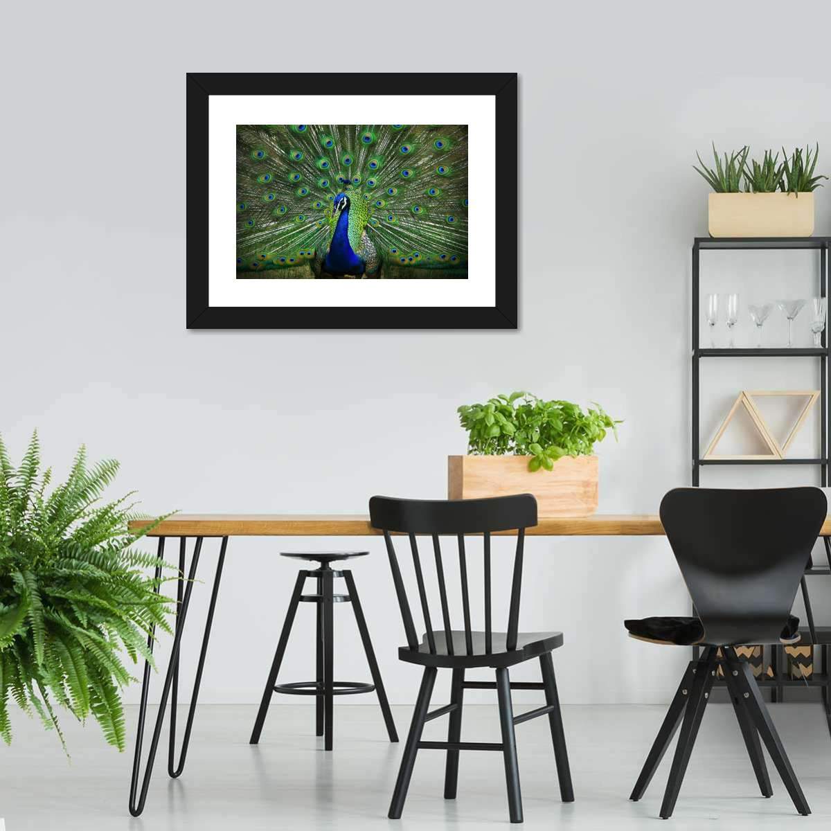 Peacock Feathers Multi Panel Canvas Wall Art