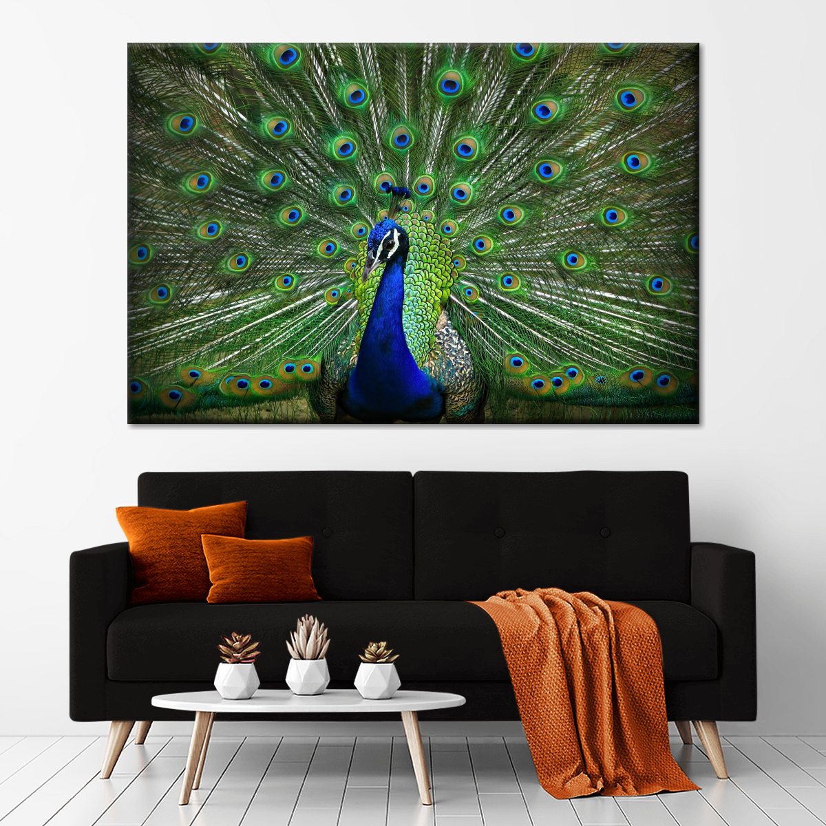 Peacock Feathers Multi Panel Canvas Wall Art