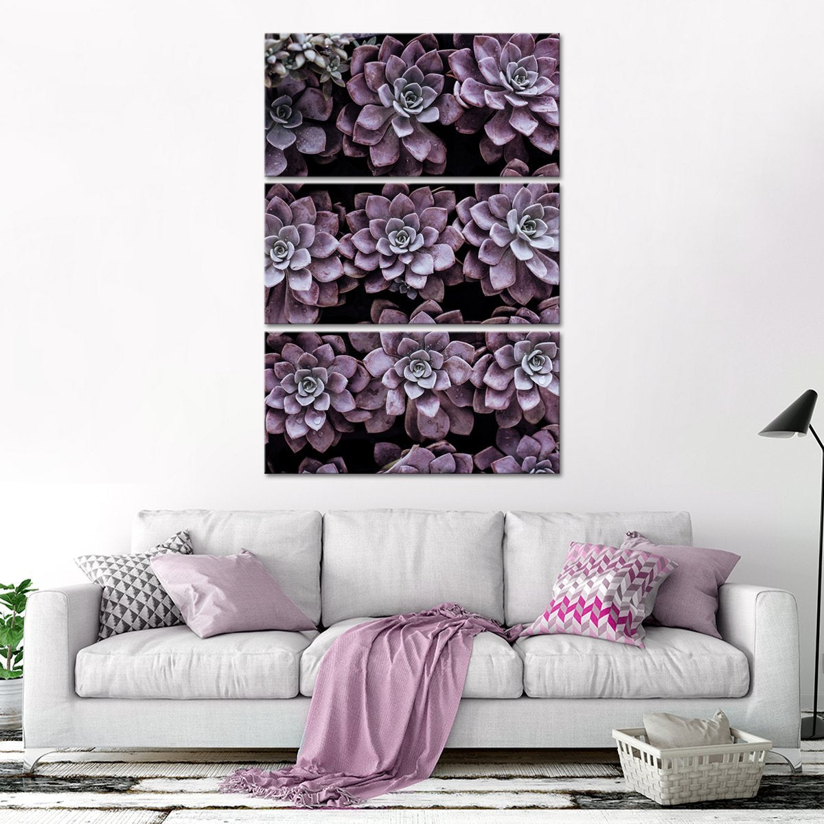 Monochrome Succulents Multi Panel Canvas Wall Art botanical ElephantStock 3 Piece 14" X 23" 
