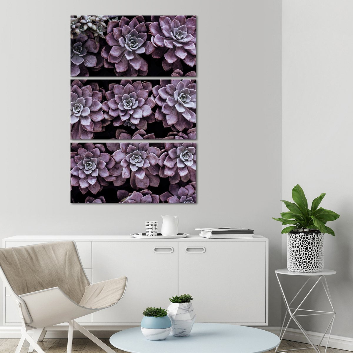 Monochrome Succulents Multi Panel Canvas Wall Art botanical ElephantStock 