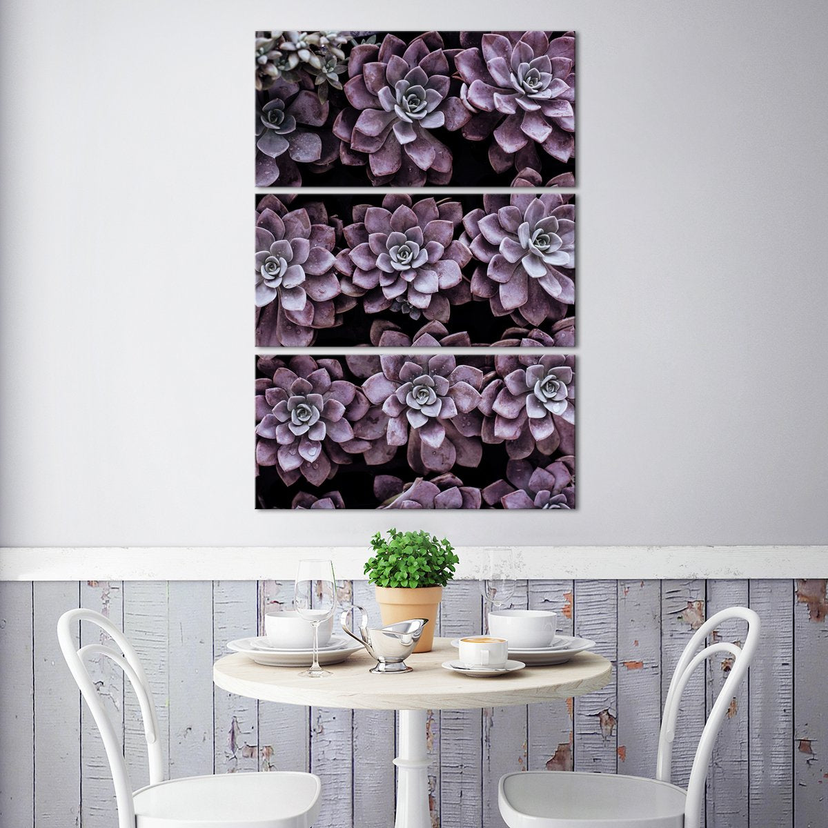 Monochrome Succulents Multi Panel Canvas Wall Art botanical ElephantStock 