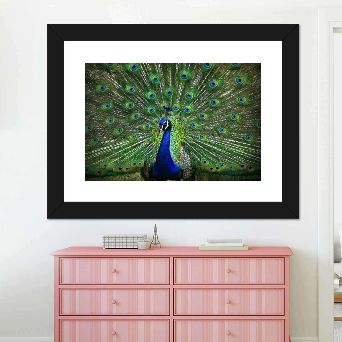 Framed Print
