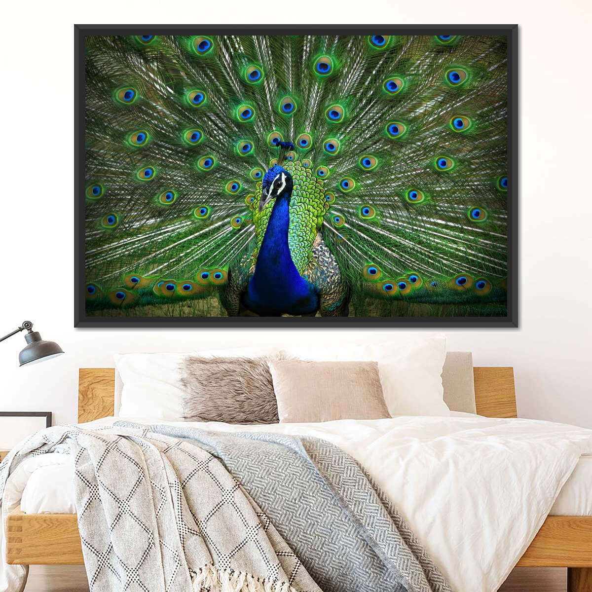 Peacock Feathers Multi Panel Canvas Wall Art