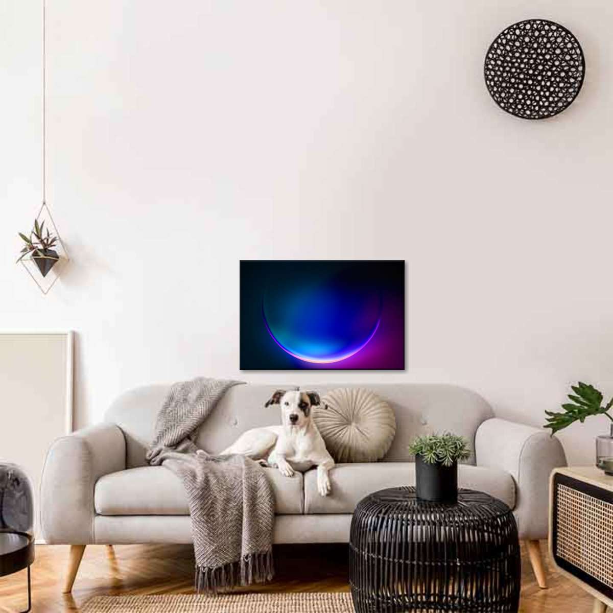 no image