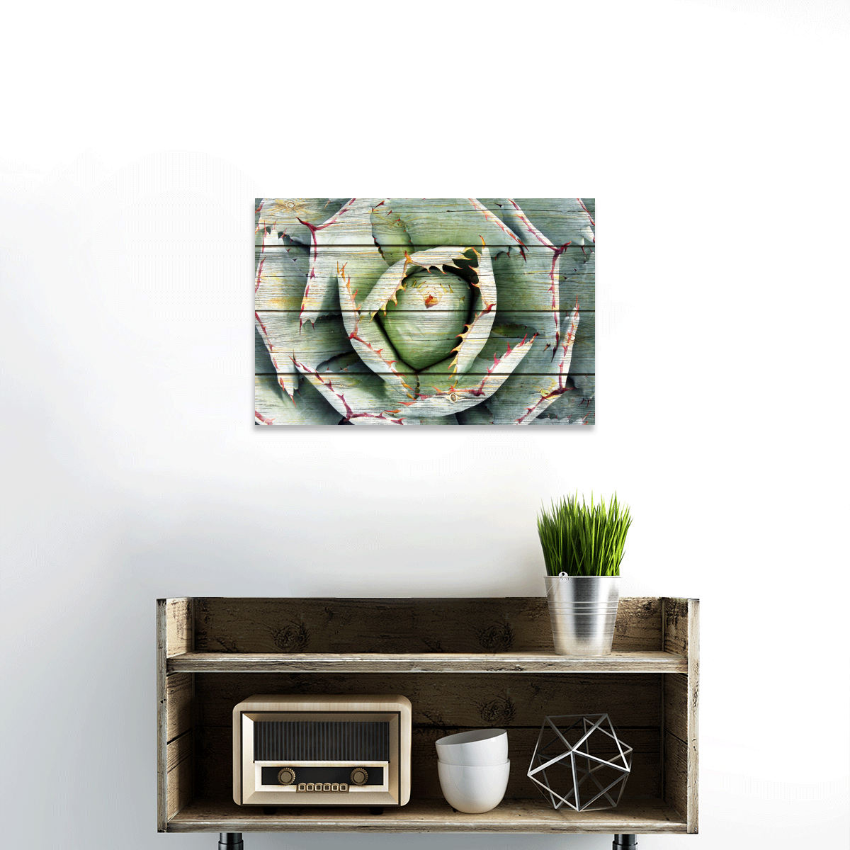 TALIA Wooden Agave Bloom Multi Panel Canvas Wall Art