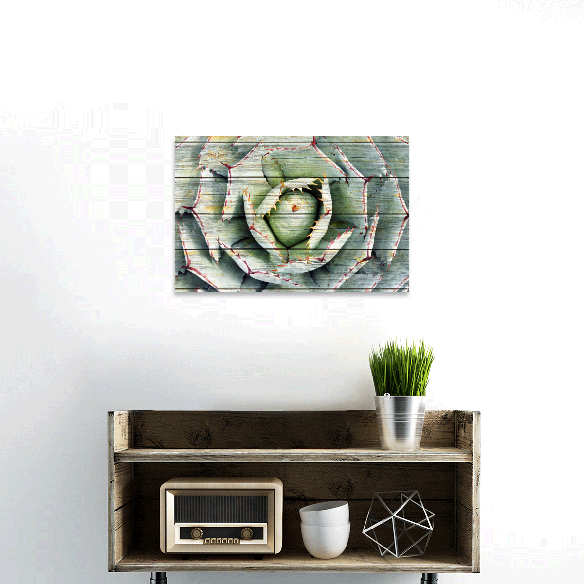 TALIA Wooden Agave Bloom Multi Panel Canvas Wall Art